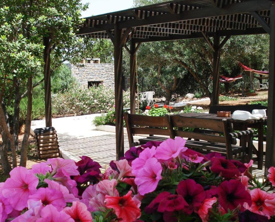 Katerina Charming Place Amoudara  Exterior foto